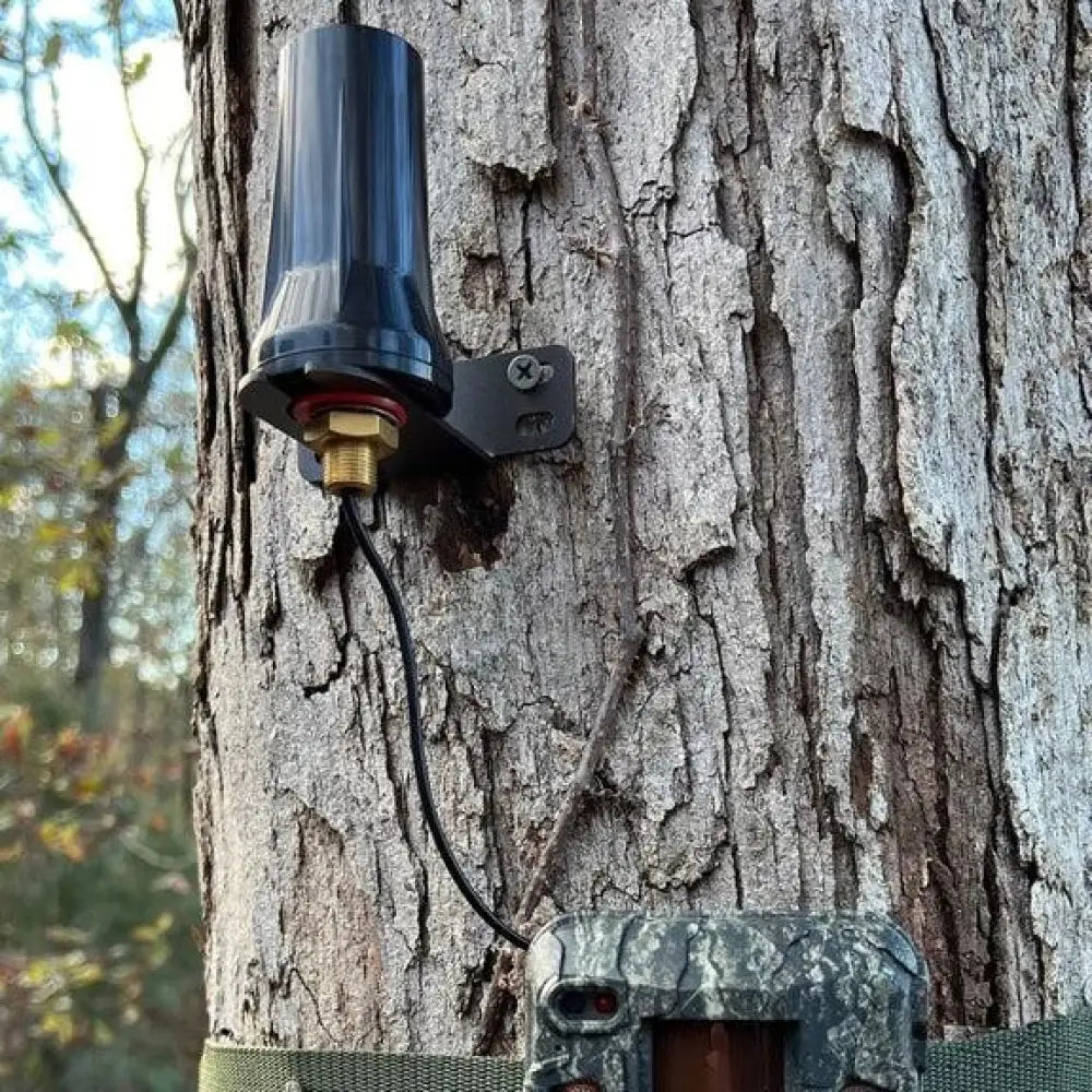 Browning Camera Trail Accessories Long Range Antenna Buy at Faith and Freedom Outdoors