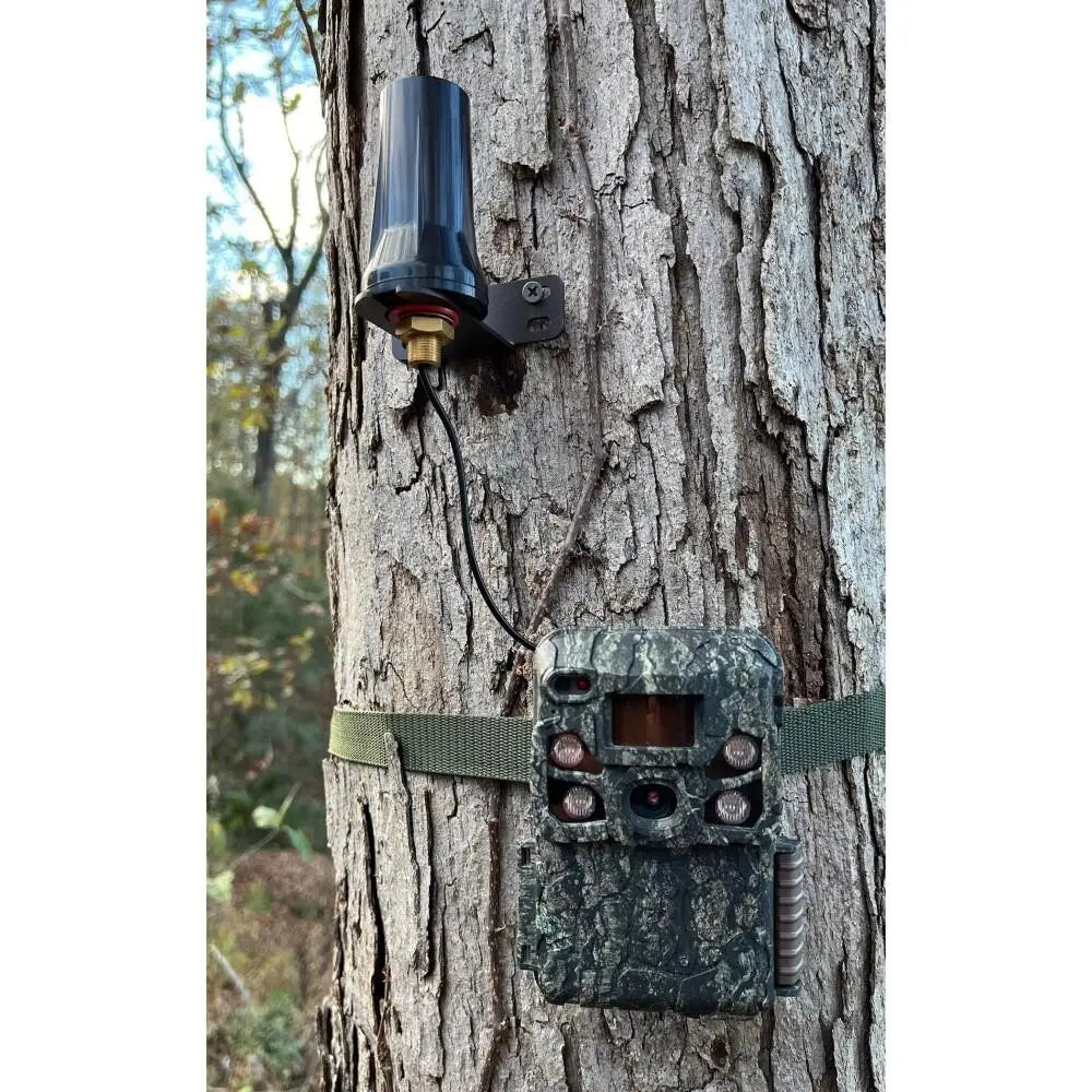 Browning Camera Trail Accessories Lra External Cellular Long Range Antenna Buy at Faith and Freedom Outdoors