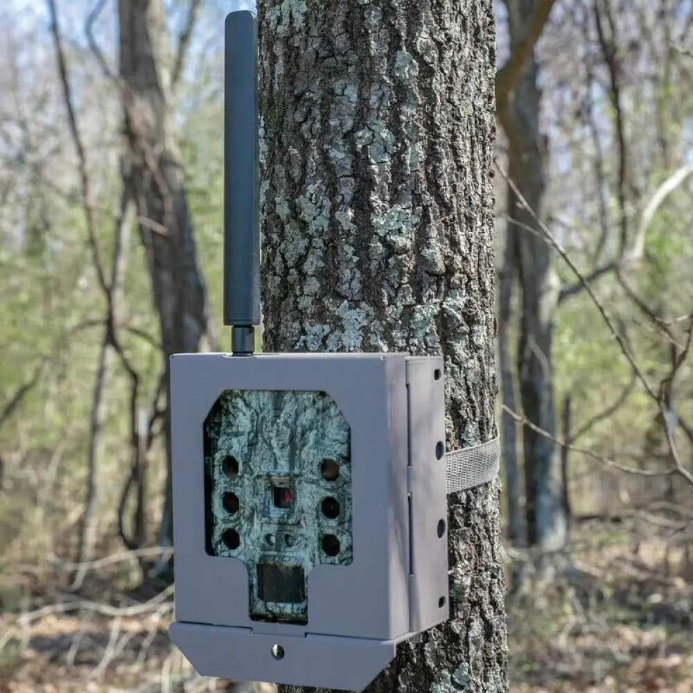 Bushnell Trail Camera Accessories Security Box for (cellular) Cellucore Models Sd - Tan Buy at Faith and Freedom