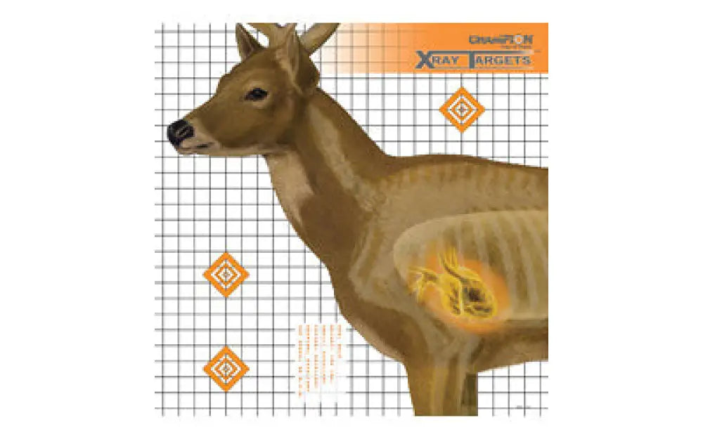 Champion Deer X-ray Target 6/pk Buy at Faith and Freedom Outdoors - Paper Targets - Target