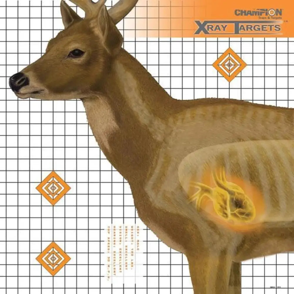 Champion Paper Targets X-ray Target - Deer 25’’x25’’ (6-pack) Buy at Faith and Freedom Outdoors