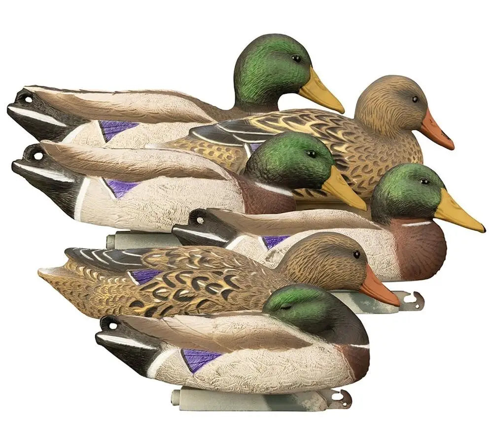 Higdon Outdoors Duck Decoys|hunting Full Size Mallard Foam Filled 6pk Buy at Faith and Freedom