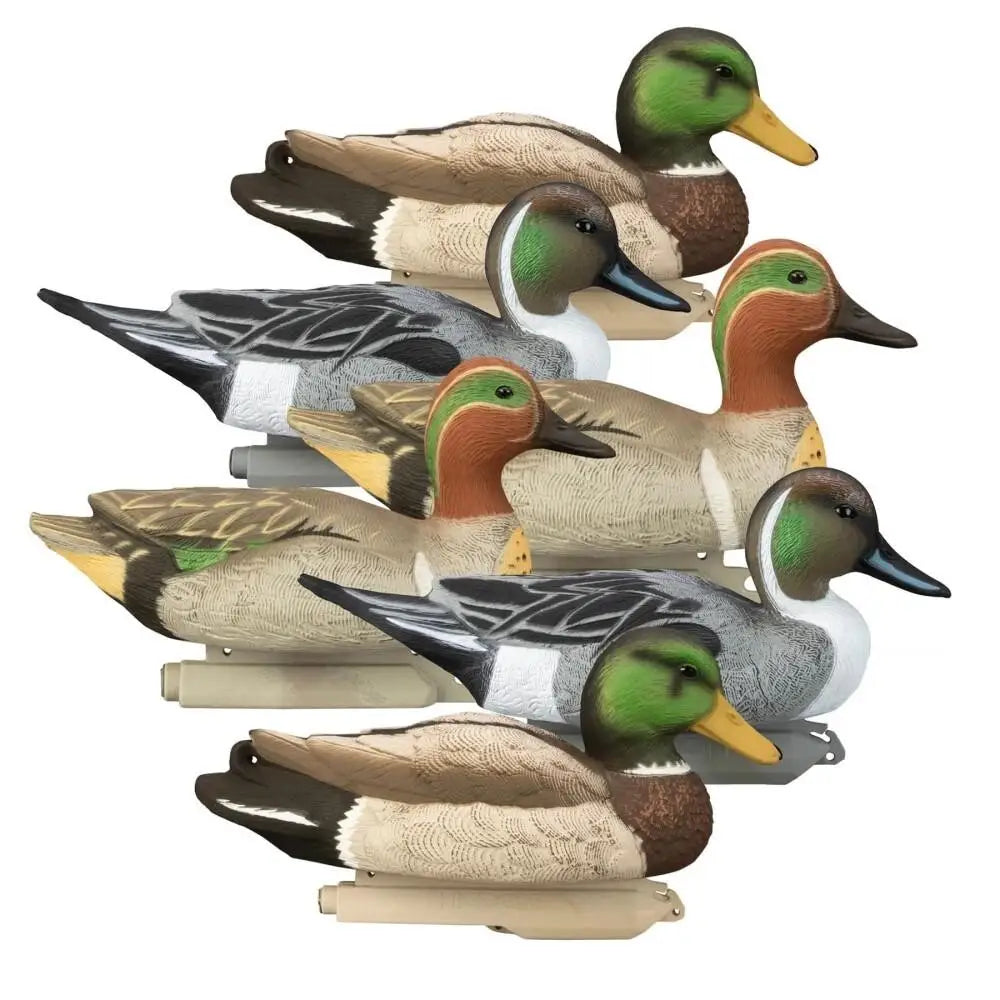 Higdon Outdoors Duck Decoys|hunting Late Season Puddle Pack Standard Foam Drakes 2 Mallard Pintails Gw Teal 6/ct Buy