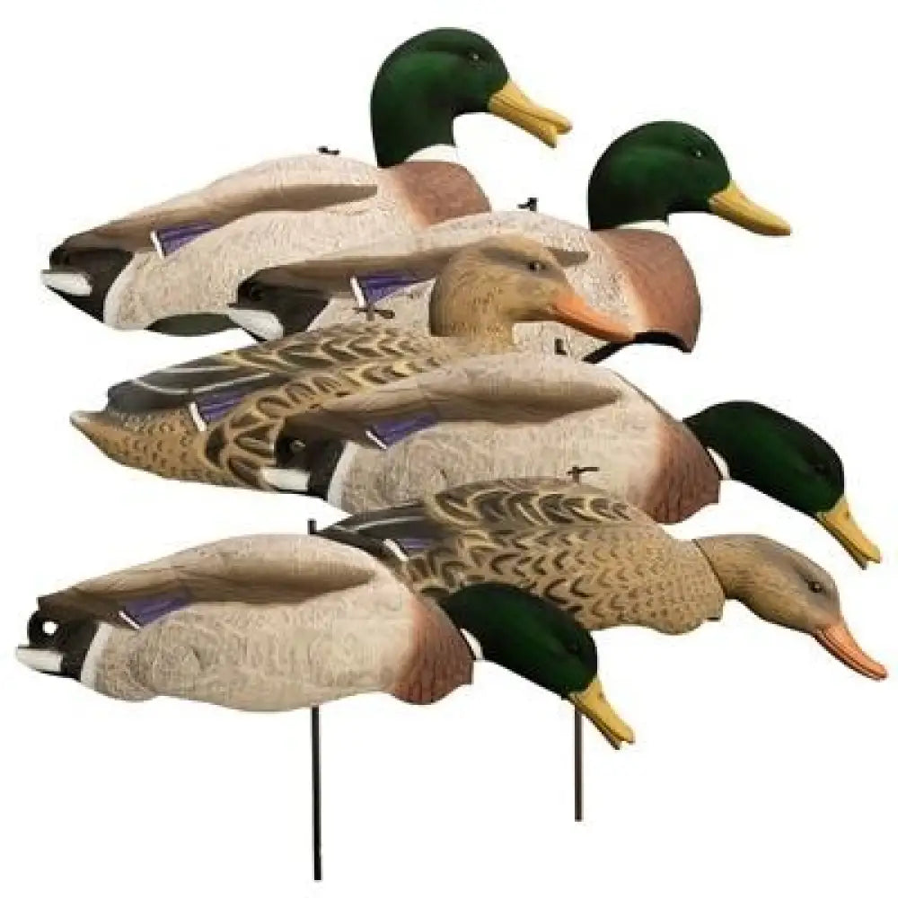Higdon Outdoors Duck Decoys Magnum Full Form Shell Mallard Variety Packk - Flocked Heads Buy at Faith and Freedom