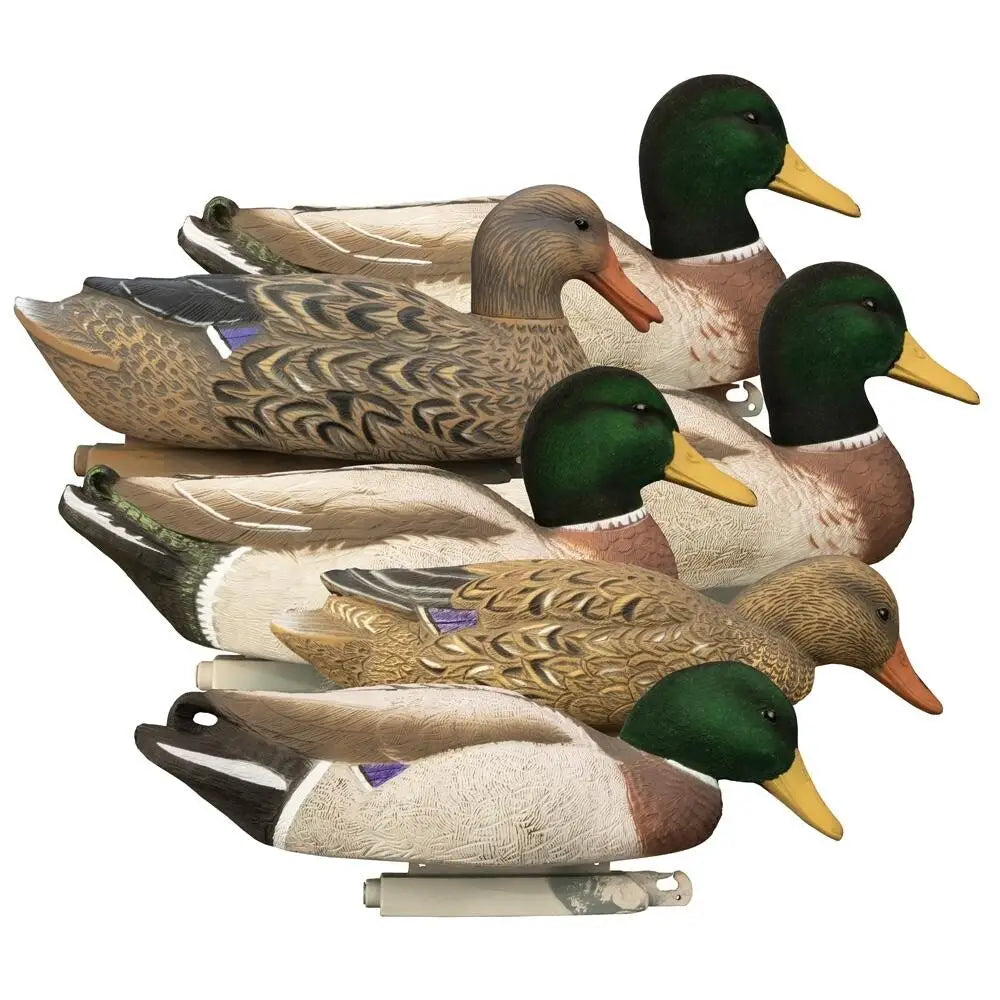 Higdon Outdoors Duck Decoys Magnum Mallard Flocked Heads 6pk Buy at Faith and Freedom