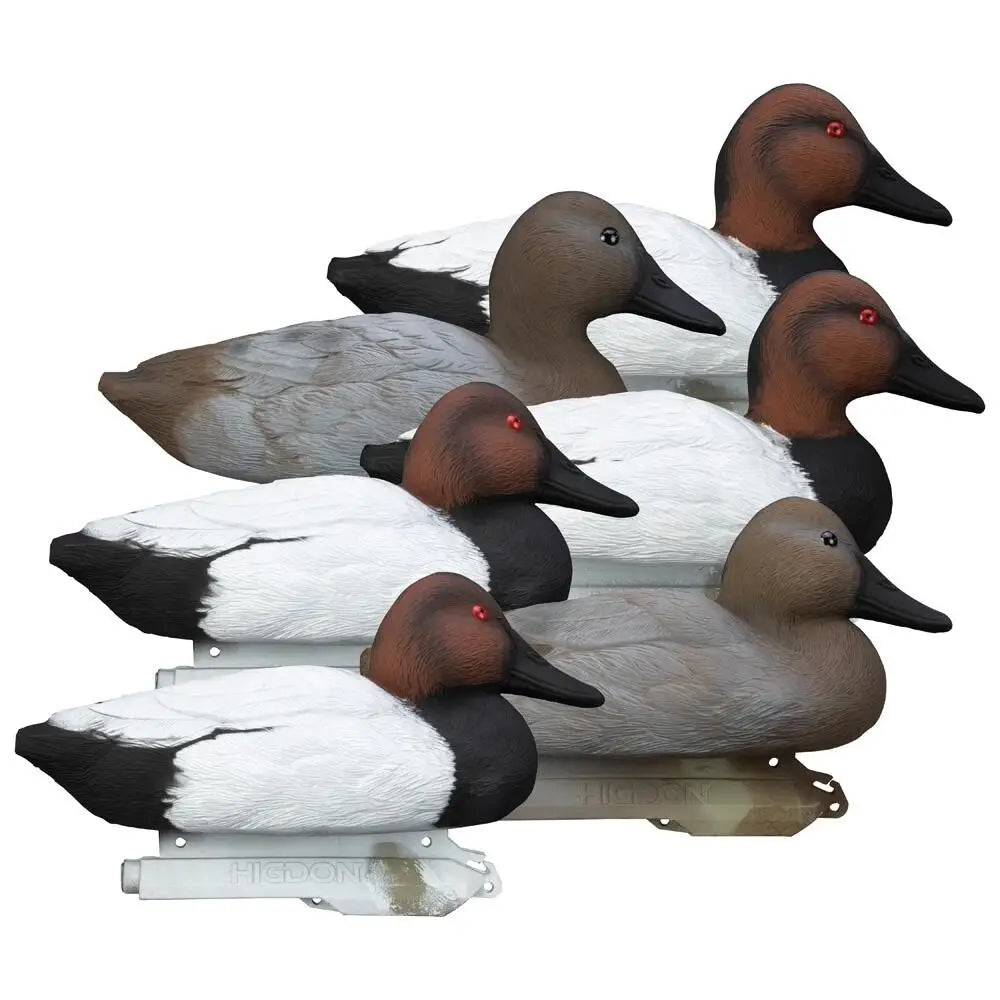 Higdon Outdoors Duck Decoys Standard Canvasback Foam Filled 6pk Buy at Faith and Freedom