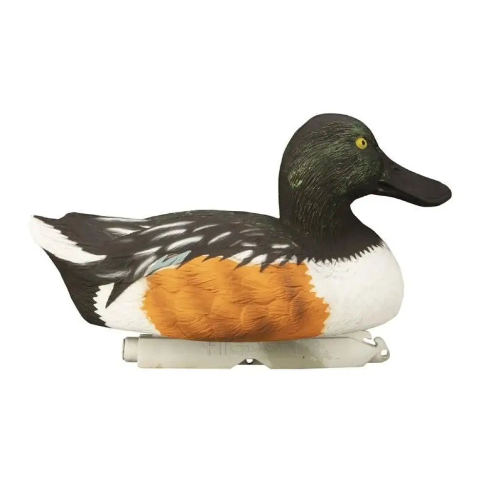 Higdon Outdoors Duck Decoys Standard Shoveler Foam Filled 6pk Buy at Faith and Freedom