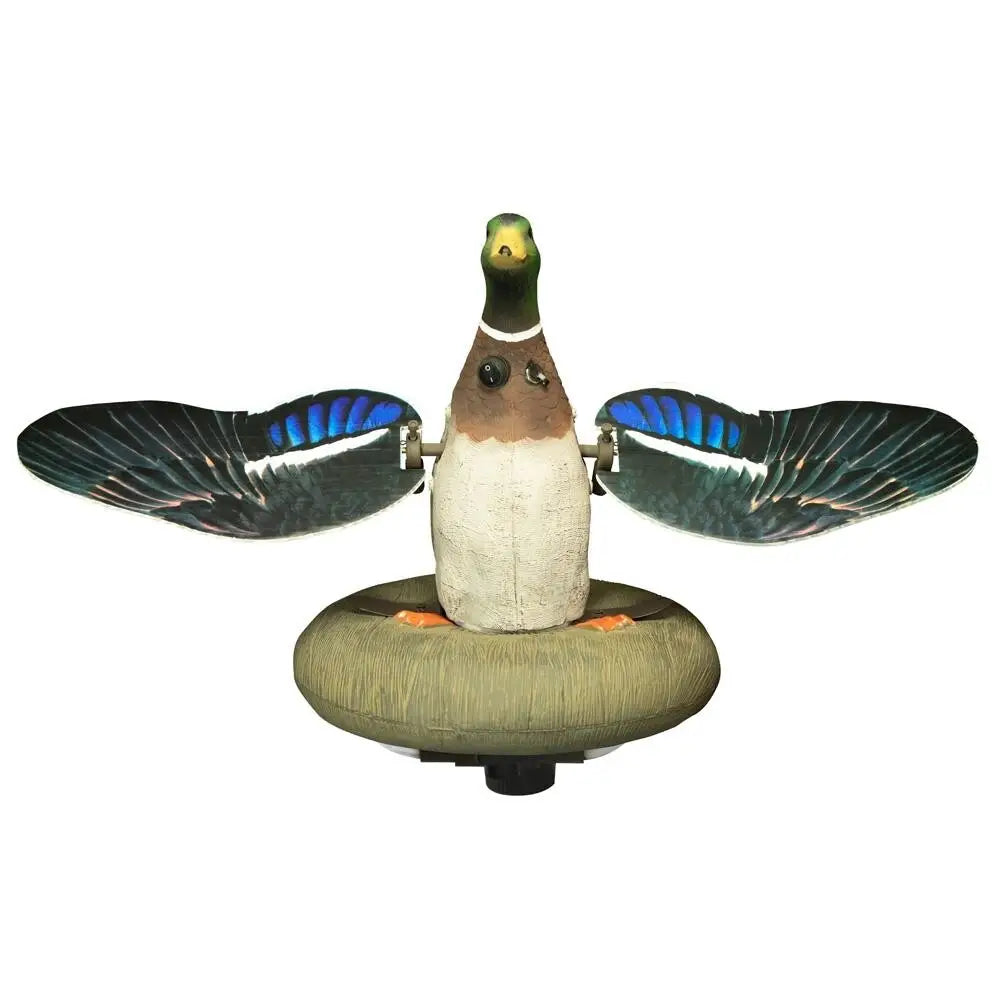 Higdon Outdoors Duck Decoys Xs Splashing Flasher Mallard Drake Moving Decoy 12v with Timer Buy at Faith and Freedom