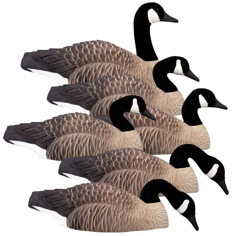 Higdon Outdoors Goose Decoys Magnum Half Shell Canada 6pk Buy at Faith and Freedom