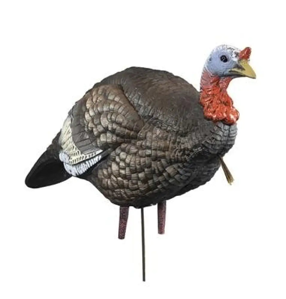 Higdon Outdoors Turkey Decoys Hard Body 1/4 Strut Jake Buy at Faith and Freedom