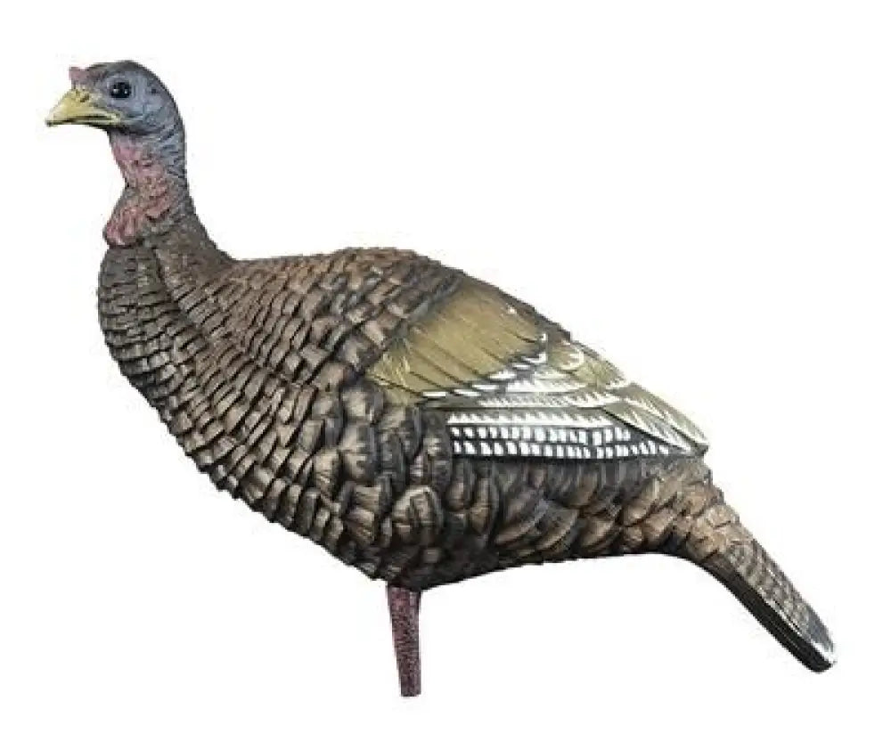 Higdon Outdoors Turkey Decoys Hard Body Upright Hen Buy at Faith and Freedom