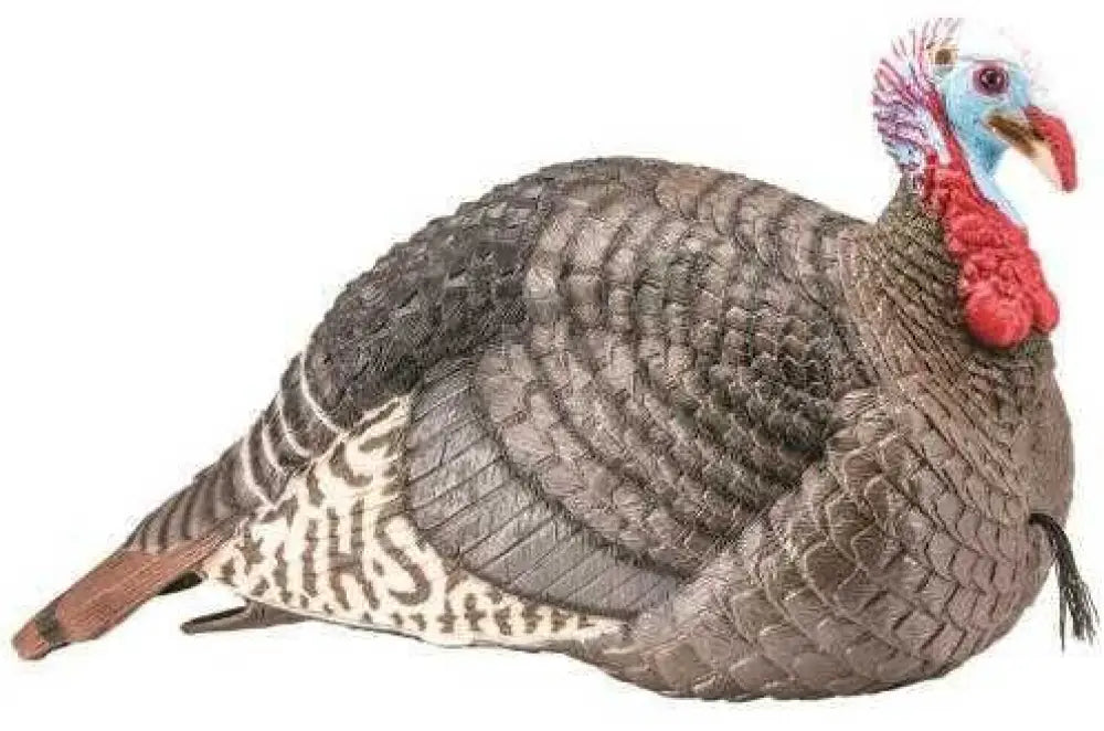 Hunter Specialties Hunters Strut-lite Jake Turkey Decoy Model: 100003