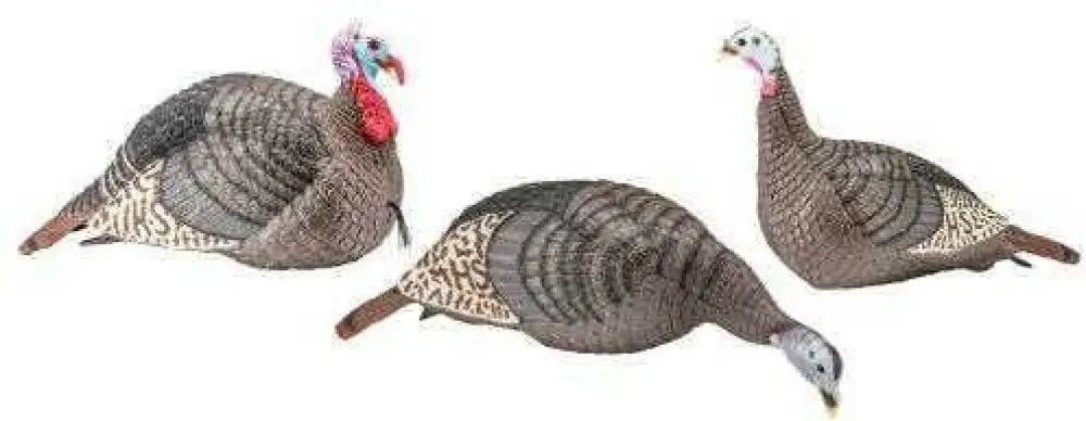 Hunters Specialties 100006 Strut-lite Turkey Flock Decoy 3 Pack