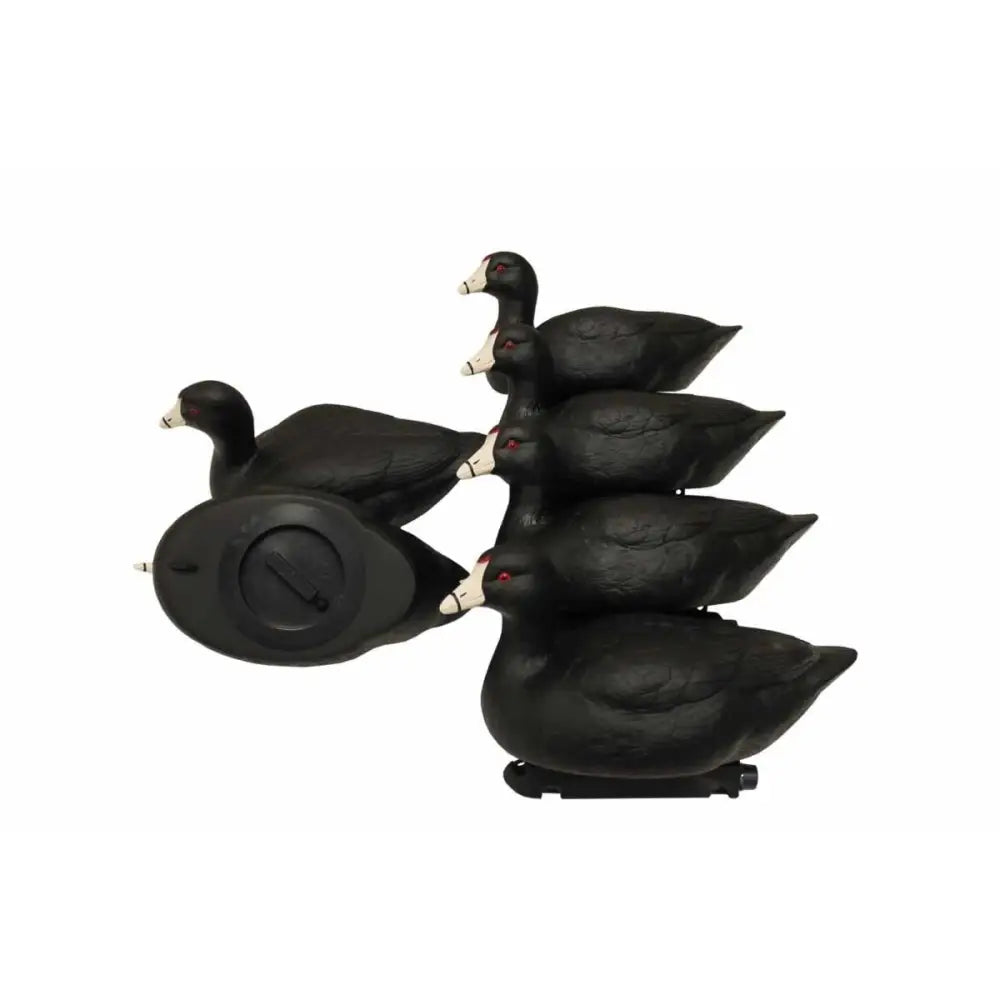 Huntwise Dba Mojo Outdoors Duck Decoys Mojo Coot Confidence 6/ct Buy at Faith and Freedom