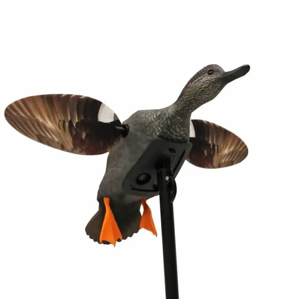 Huntwise Dba Mojo Outdoors Duck Decoys Elite Series Spinning Wing Decoy - Gadwall Buy at Faith and Freedom