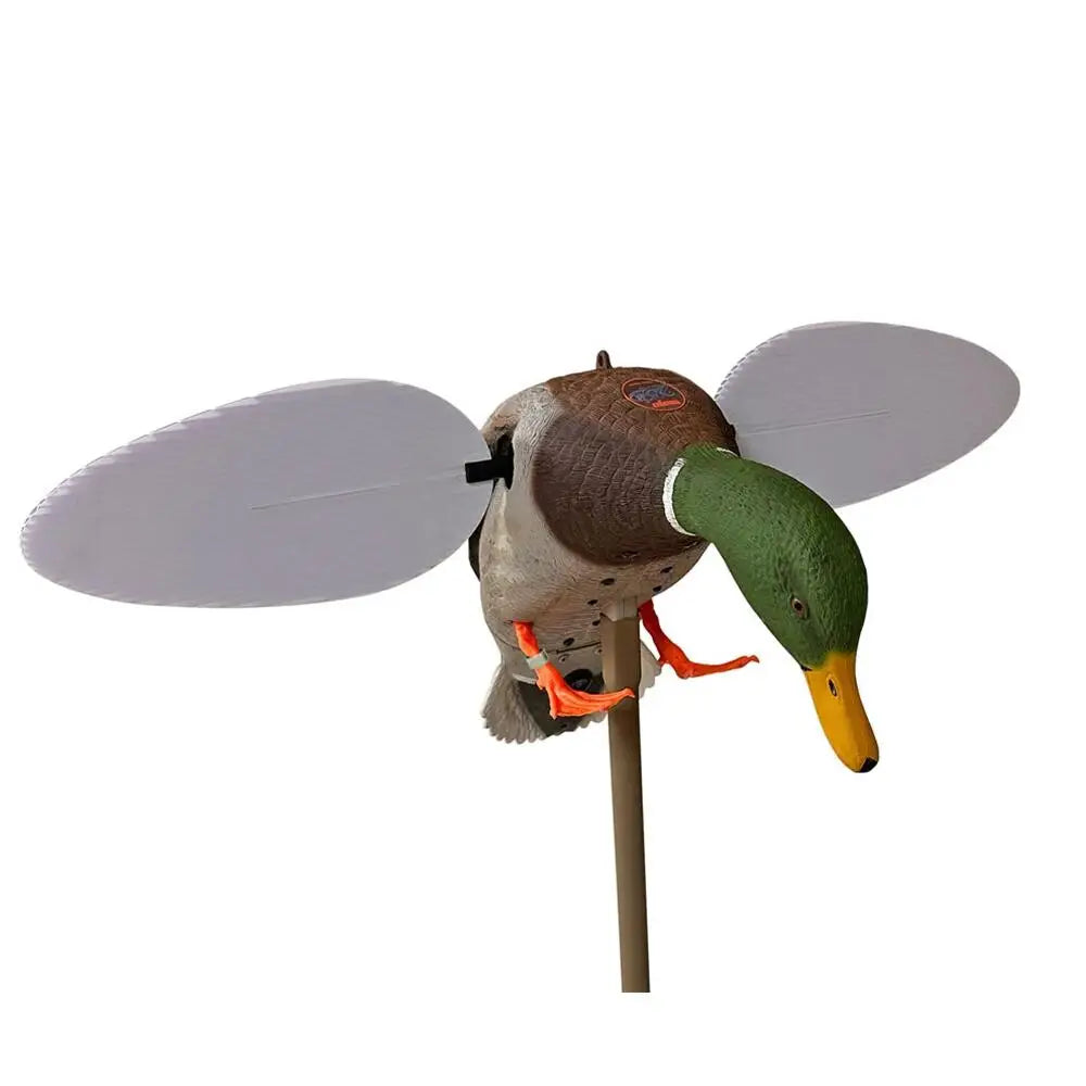 Huntwise Dba Mojo Outdoors Duck Decoys Silver Mallard 25th Anniversary Decoy Buy at Faith and Freedom