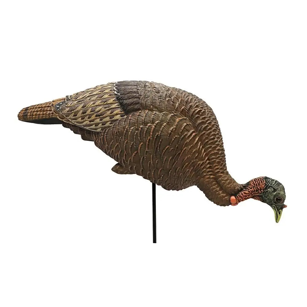 Huntwise Dba Mojo Outdoors Turkey Decoys|hunting Feeder / Breeder Hen Decoy Buy at Faith and Freedom