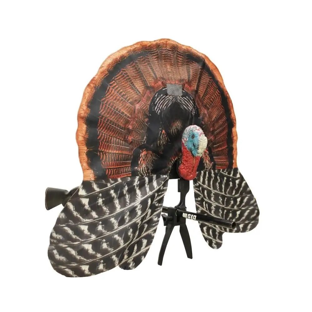 Huntwise Dba Mojo Outdoors Turkey Decoys Mojo Scoot-n-shoot Gunner Decoy Buy at Faith and Freedom