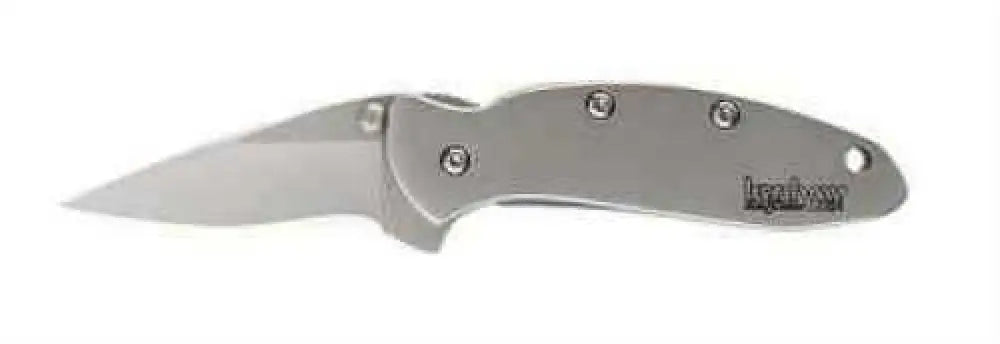 Kershaw Chive 1.938’’ Assisted Folding Knife Clip Point Plain Edge 420hc/satin Satin 410 Stainless Thumb Stud/pocket