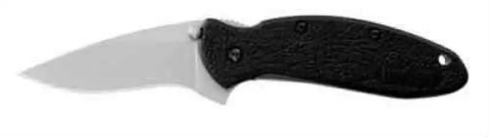 Kershaw Scallion 2.25’’ Assisted Folding Knife Clip Point Plain Edge 420hc/satin Black Nylon Thumb Stud/pocket 1620