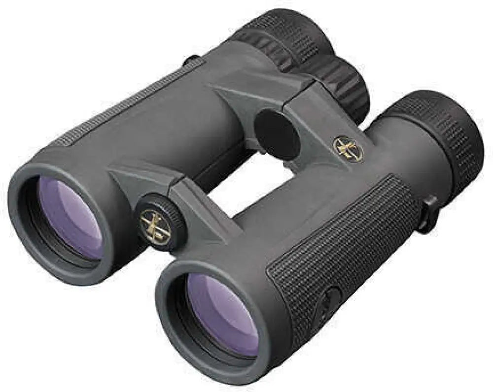 Leupold Bx-5 Santiam Hd Binocular 10x42mm Shadow Gray - 174483
