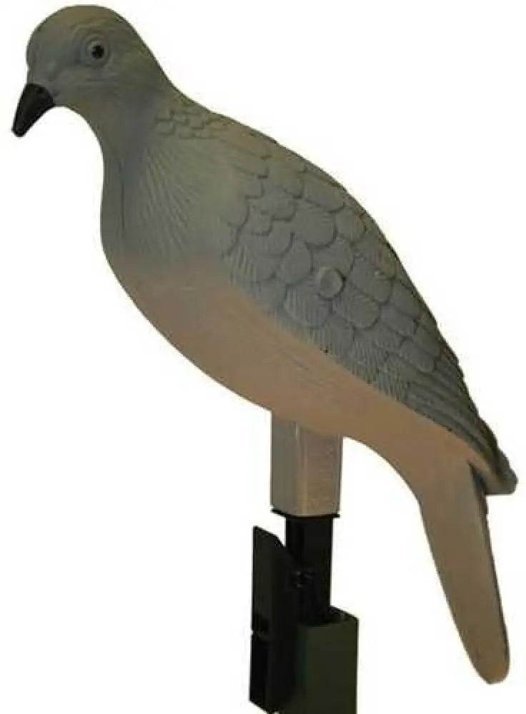 Mojo Clip on Dove Decoys 4 Pk. Model: Hw9004