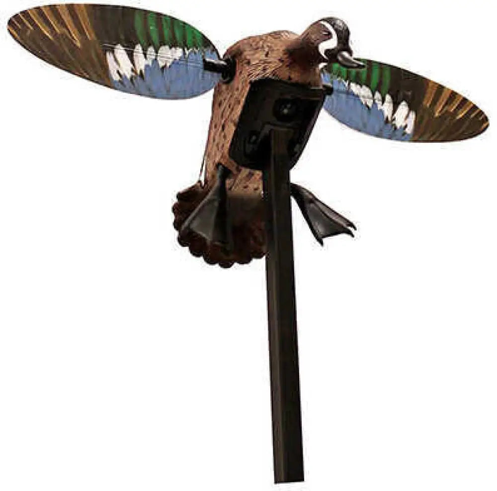 Mojo Decoys Elite Series Blue Wing Teal Duck Md: Hw2475
