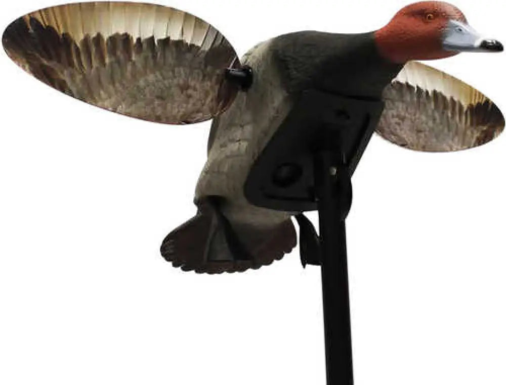 Mojo Decoys Elite Series™ - Diver Redhead - Hw2492
