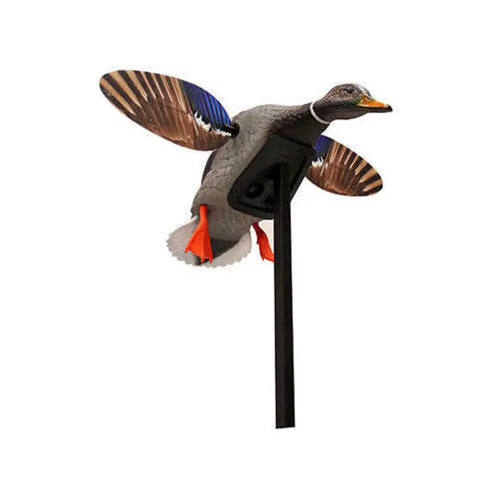 Mojo Decoys Elite Series Mini Mallard Drake Md: Hw2470