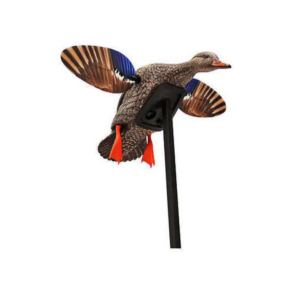 Mojo Decoys Elite Series Mini Mallard Hen - Hw2471