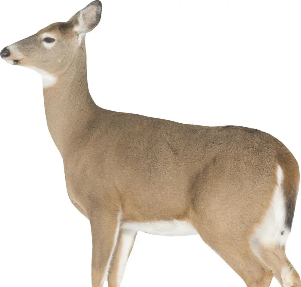 Montana Decoy Co. Big Game Decoys co Dreamy Doe Buy at Faith and Freedom Outdoors
