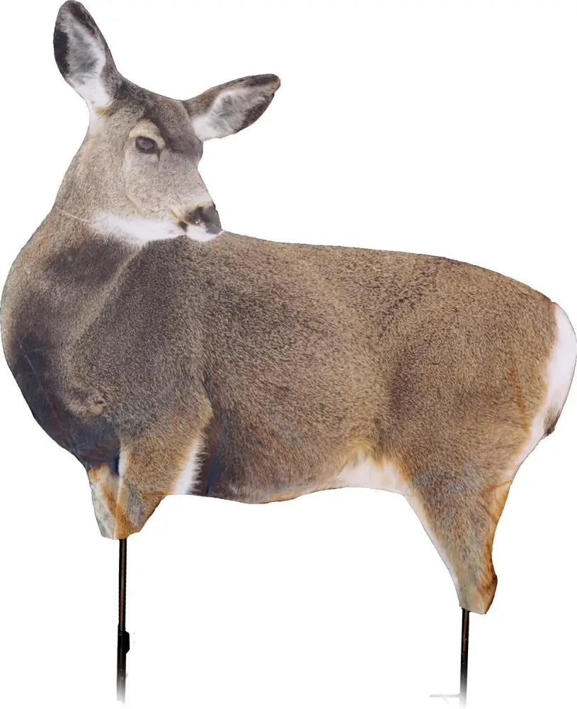 Montana Decoy Co. Big Game Decoys co Miss Muley Buy at Faith and Freedom Outdoors