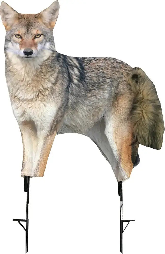 Montana Decoy Co. Predator Decoys co Song Dog Coyote Buy at Faith and Freedom Outdoors