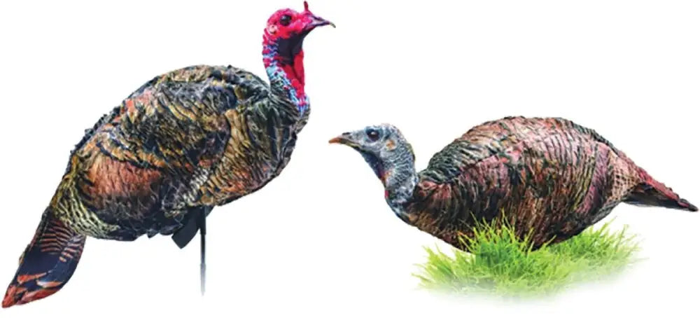 Montana Decoy Co. Turkey Decoys Decoyco Purrfect Pair Xd Combo Buy at Faith and Freedom Outdoors
