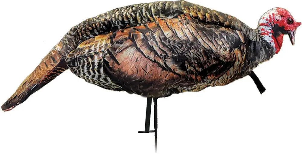 Montana Decoy Co. Turkey Decoys|hunting co Jake Purrfect Xd Buy at Faith and Freedom Outdoors