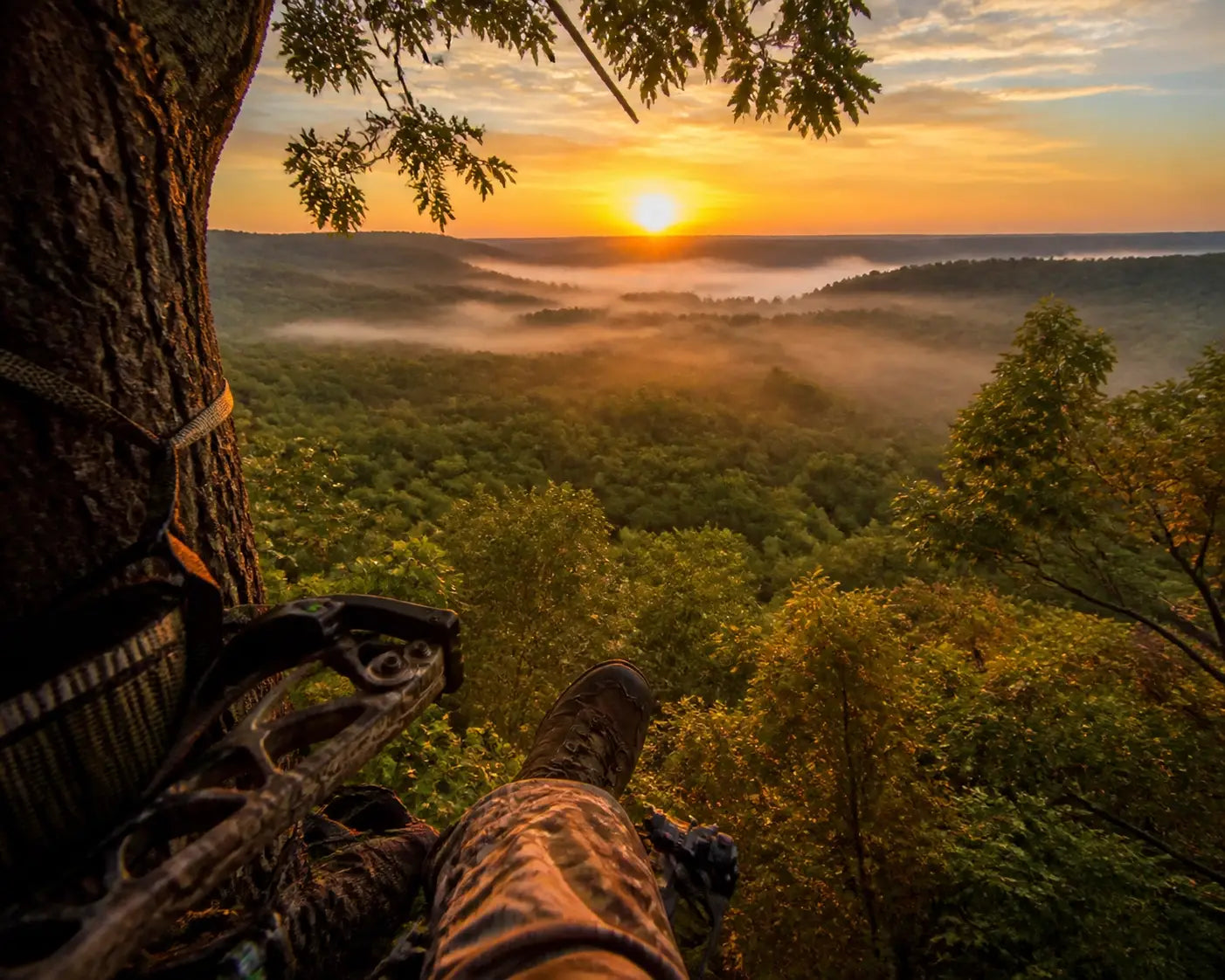 First-person view from a hunting treestand overlooking a misty forest at dawn, symbolizing spiritual peace.