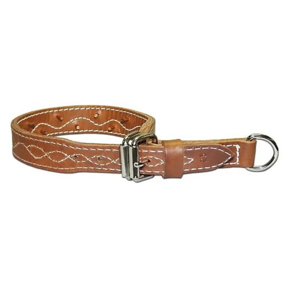 Omnipet Collars & Leashes|collars Leashes Harnesses|hunting Leather Brothers Dba Force Collar 1.25’’ x 25’’ Brown Buy