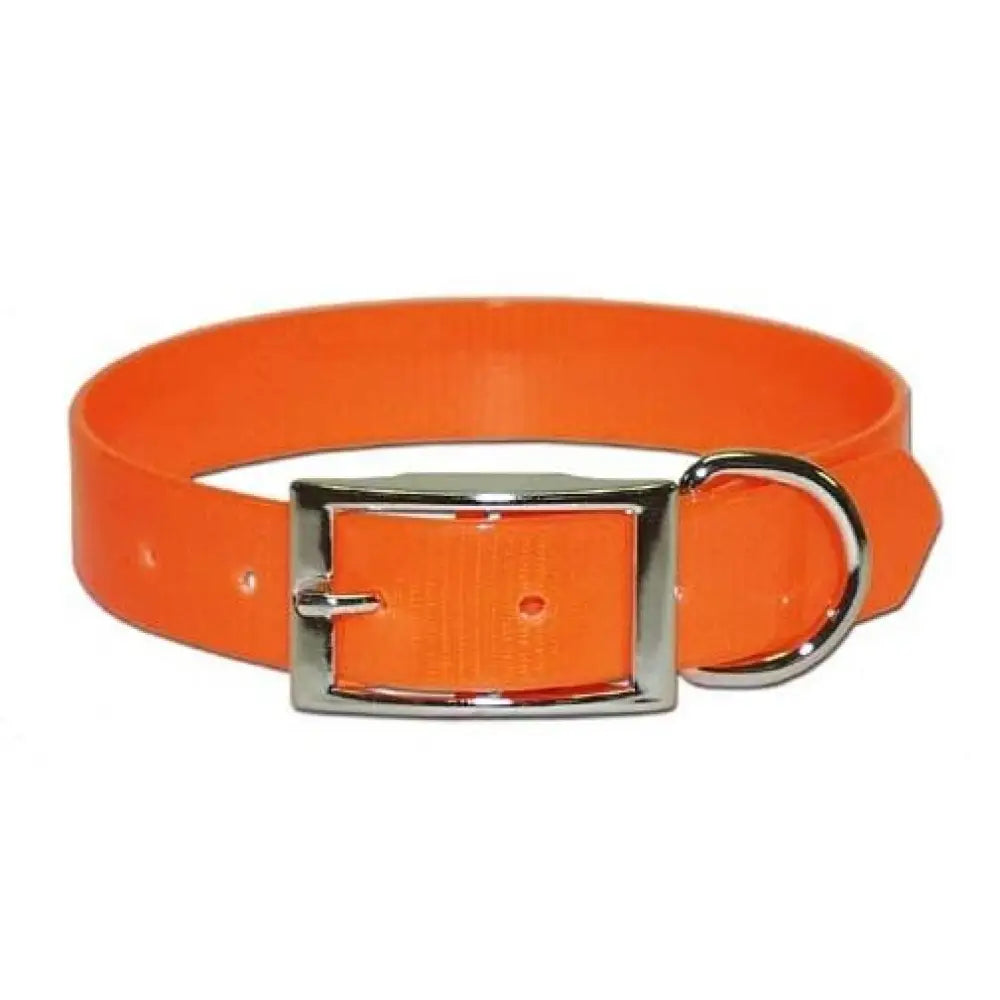 Omnipet Collars & Leashes|collars Leashes Harnesses Leather Brothers Dba Sunglo Collar 1’’ x 30’’ Orange Buy at Faith