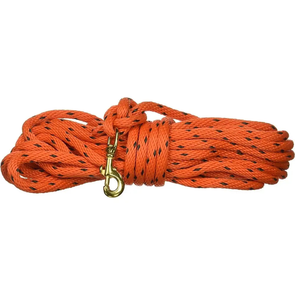 Omnipet Dog Training|collars Leashes & Harnesses Leather Brothers Dba Check Cord 40ft Orange Buy at Faith and Freedom