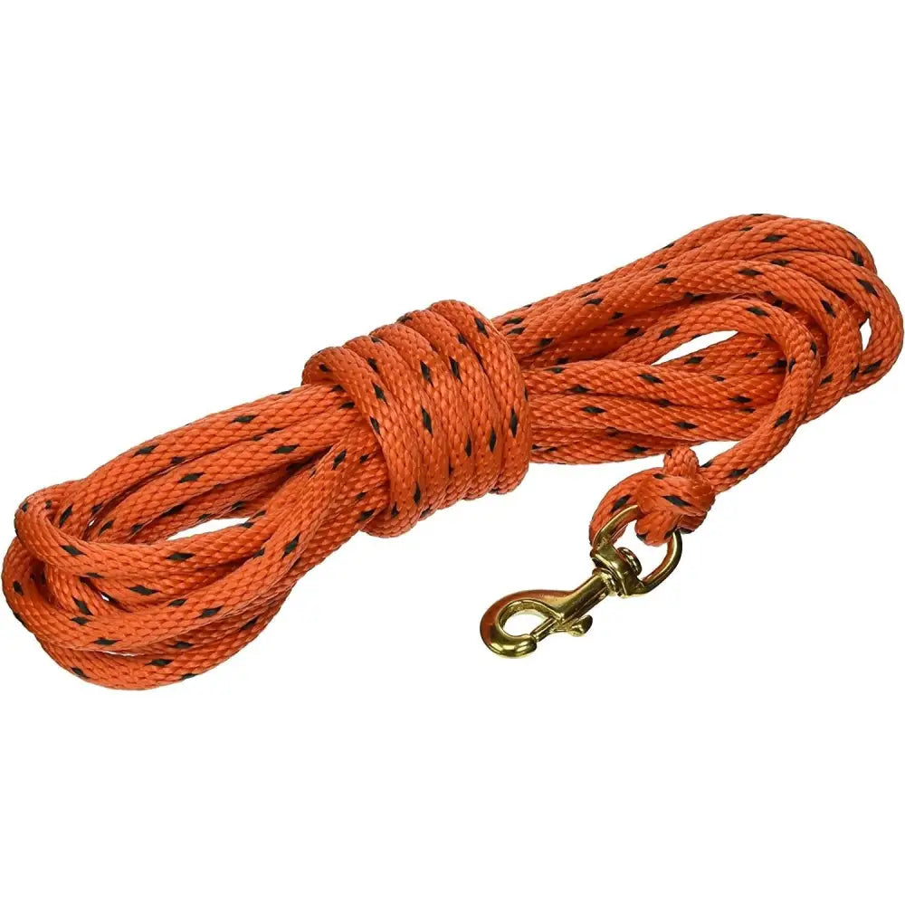 Omnipet Dog Training|collars Leashes & Harnesses Leather Brothers Dba Check Cord 20ft Orange Buy at Faith and Freedom