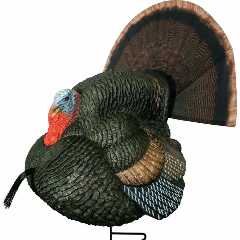Primos Turkey Decoys Gobbstopper Strutter Decoy Box Buy at Faith and Freedom Outdoors
