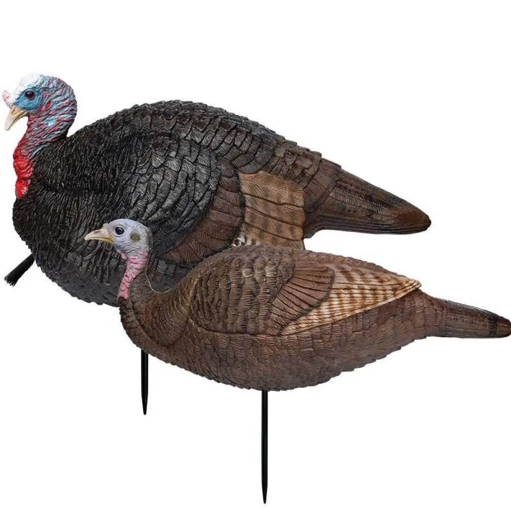 Primos Turkey Decoys Lil Gobstopper Hen and Jake Combo Set Buy at Faith and Freedom Outdoors