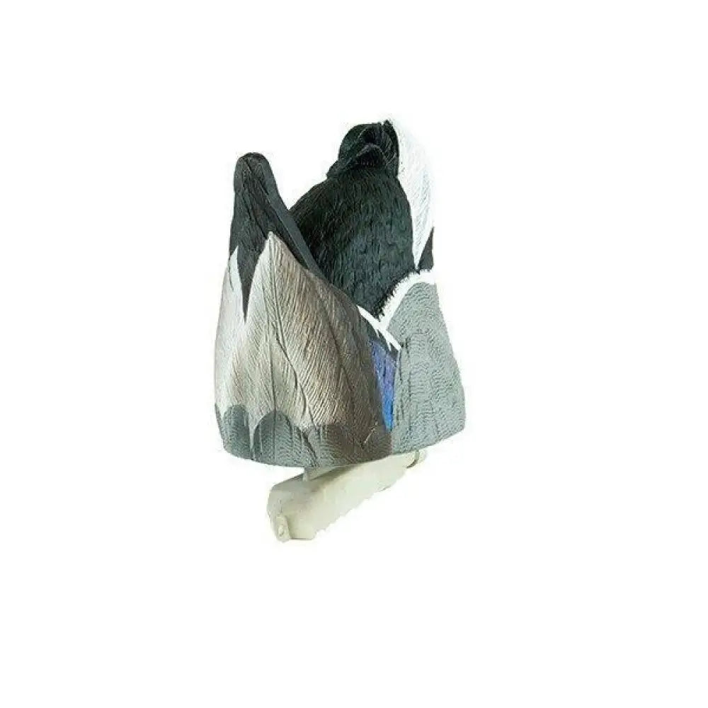 Rock Ridge Outdoors Duck Decoys Cupped Feeder Butt Drake Decoy Buy at Faith and Freedom