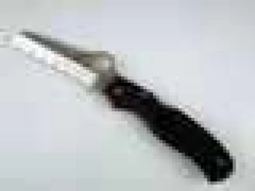 Spyderco Atlantic Salt Knife C89sbk