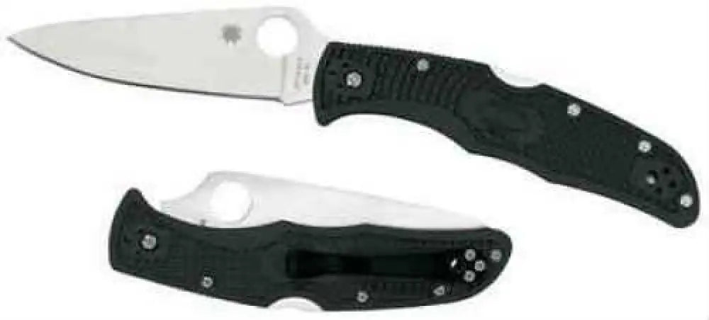 Spyderco C10 Folder Vg-10 Clip Point Blade Green C10fpgr